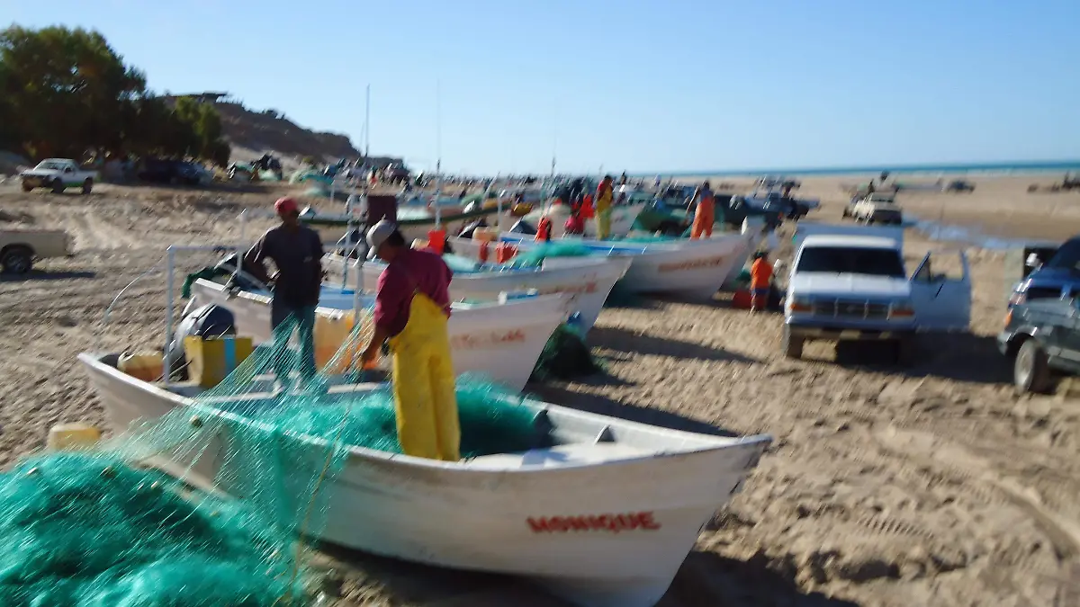 pescadores (1)